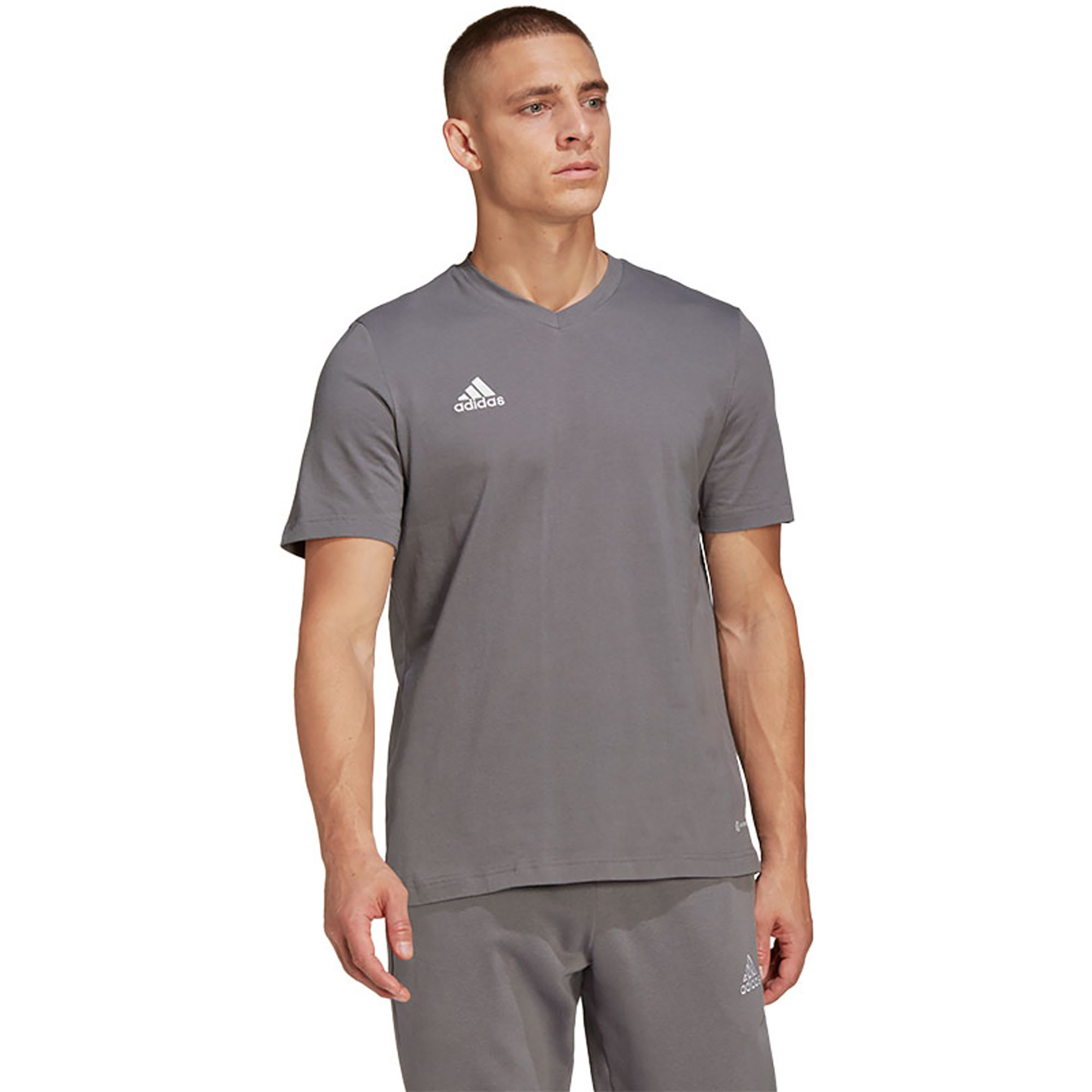 Adidas Entrada 22 t-shirt | Unisex | Katoen