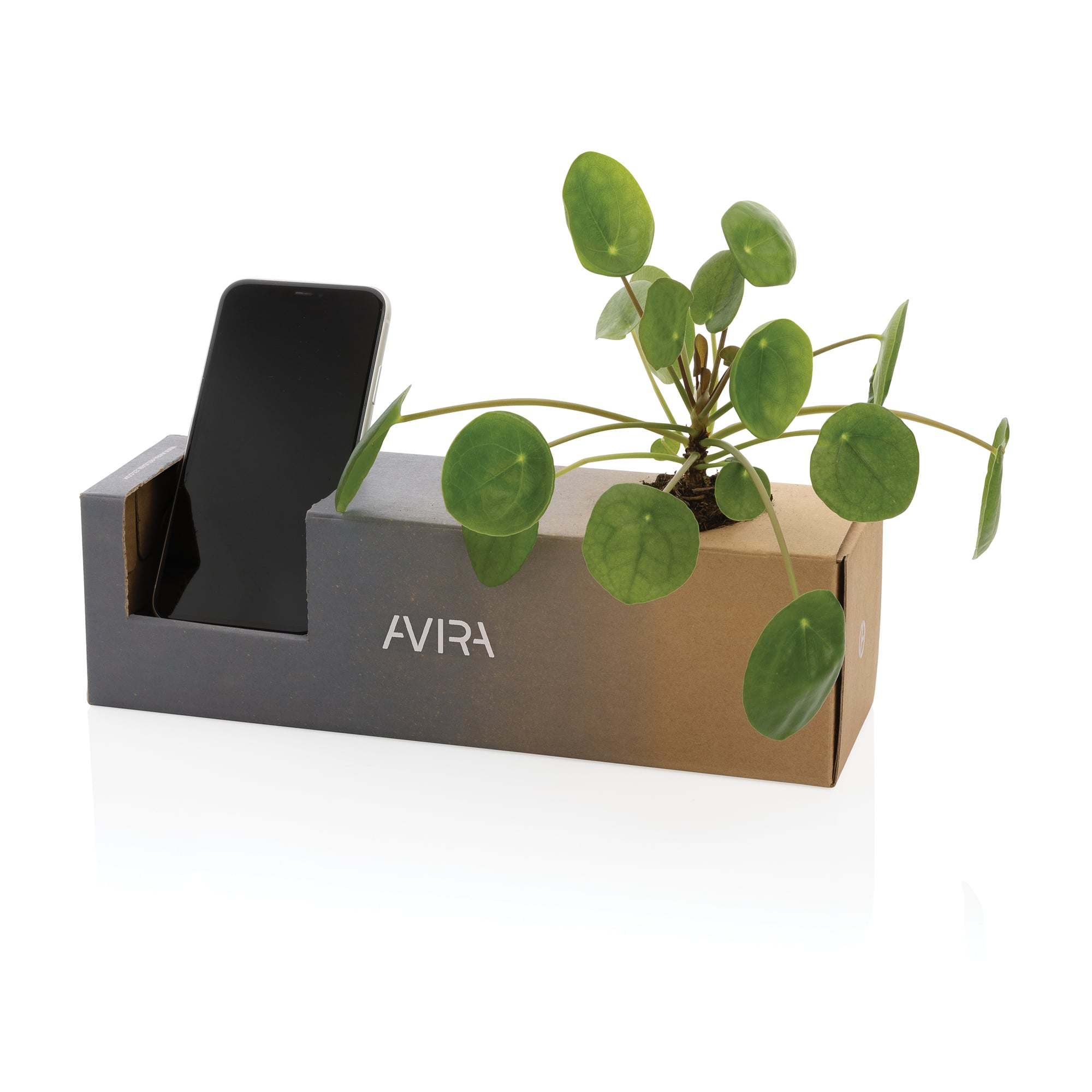 Bouteille Avira Avior | Acier inoxydable recyclé | 500 ml | Couleurs variées
