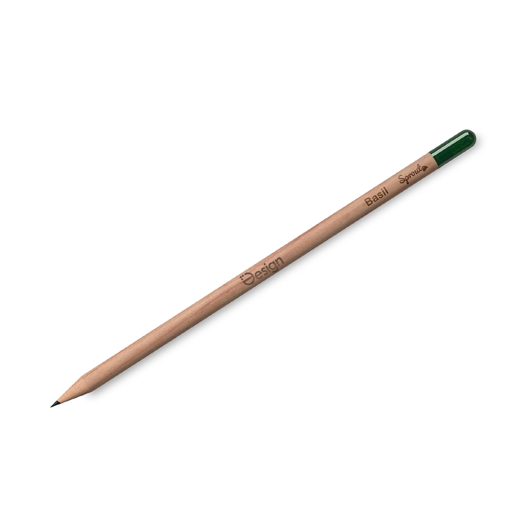 Crayon SPROUT | Certifié FSC | À planter