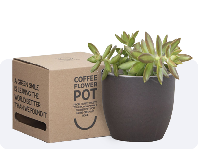 plantjes