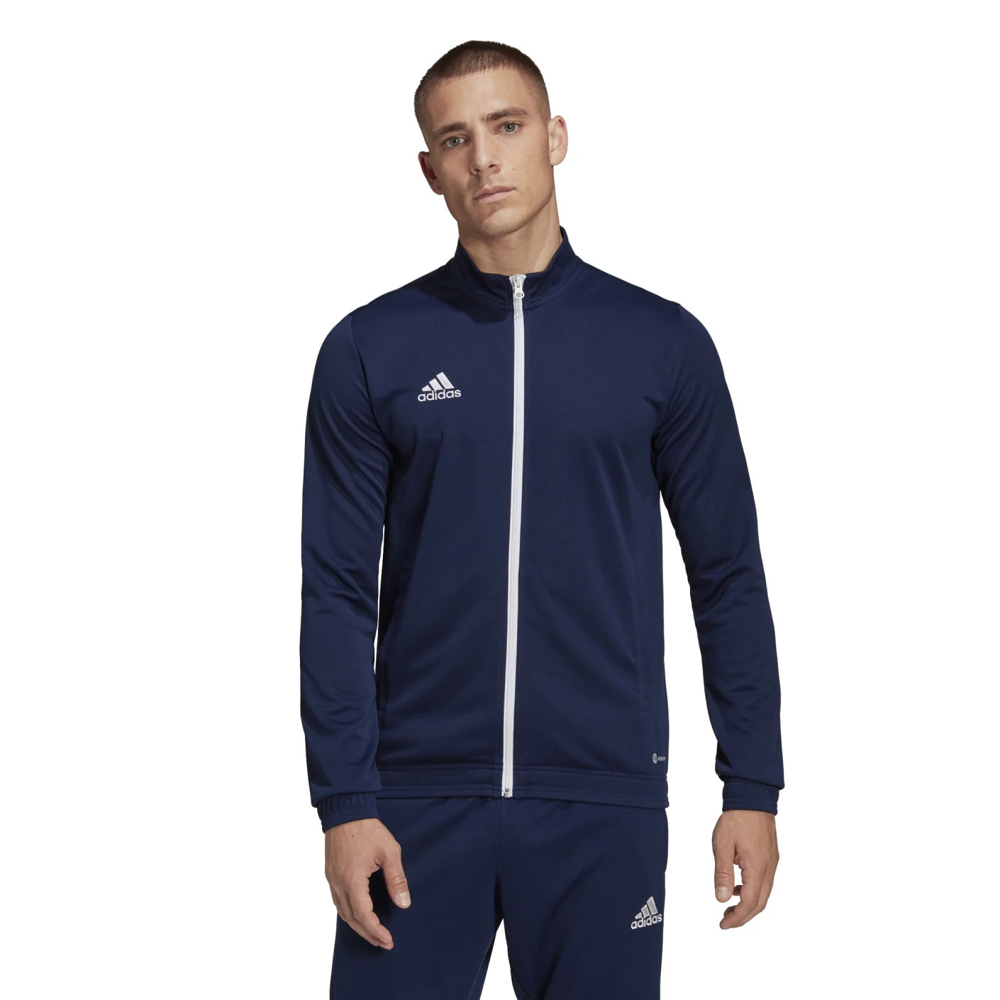 Adidas Entrada 22 | Veste d'entraînement | Hommes